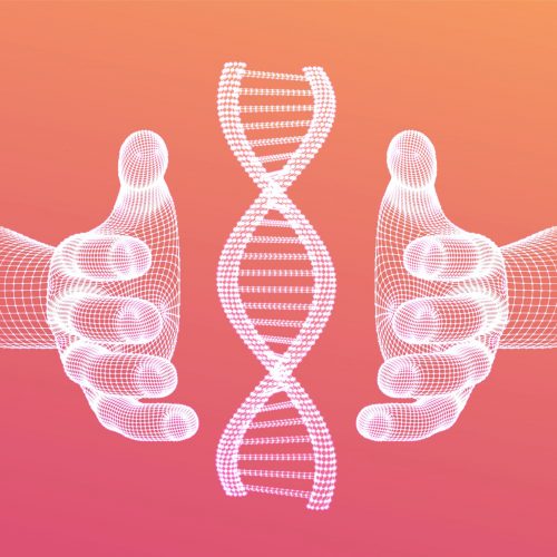 DNA sequence in hands. Wireframe DNA molecules structure mesh. DNA code editable template. Science and Technology concept. Vector illustration
